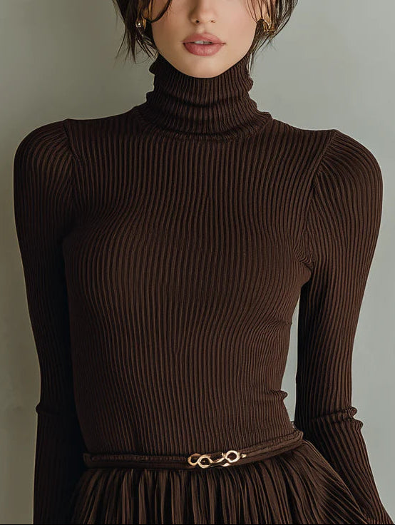 Stylish and elegant brown textured bodycon mini dress