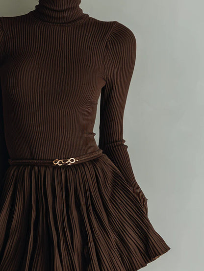 Stylish and elegant brown textured bodycon mini dress